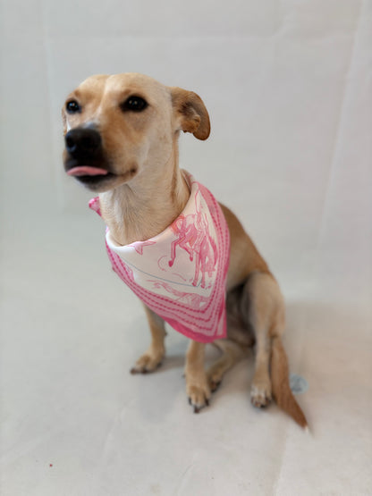 Pastel Texas Scarf 25x25" - Soft Colors Lone Star Print | Imbali Charleston