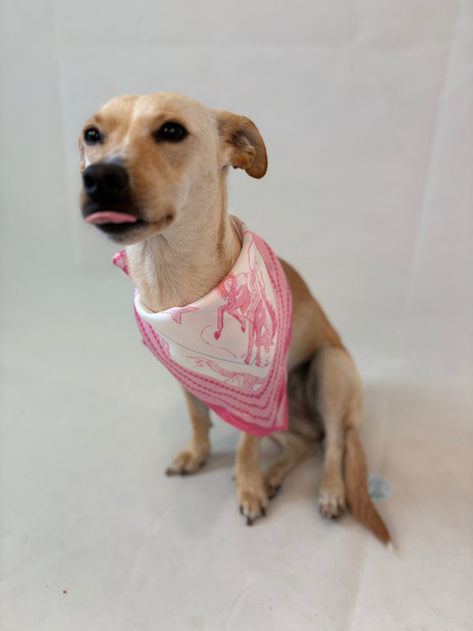 Pastel Texas Scarf 25x25" - Soft Colors Lone Star Print | Imbali Charleston